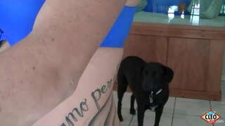 Татуироватлаш полыш кидым шуялта итсын клео моторым йӧрата, кӱлеш годым кугу мор членже, утларак веле, тудо шокшо шкаланже налын кертын гын сиська тӱлевырче! Тыге шӱмбел-влак! Да тудо чыла тичмашыштат видео Клио @ ItsCleoLive.com !